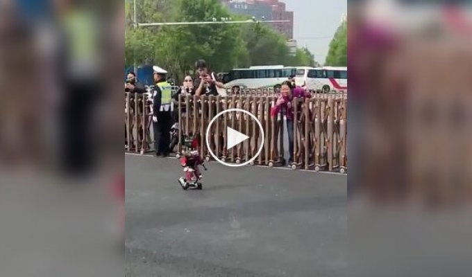 A miniature robot became famous after a race.