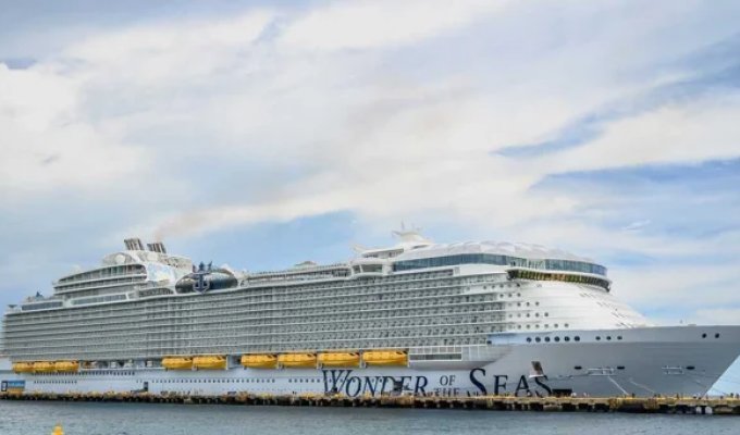 В США круизный лайнер вернулся в порт из-за драки пассажиров у детского бассейна (3 фото)