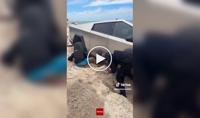 Вездеход, Илон: копы откопали Tesla Cybertruck на пляже из-за угрозы прилива