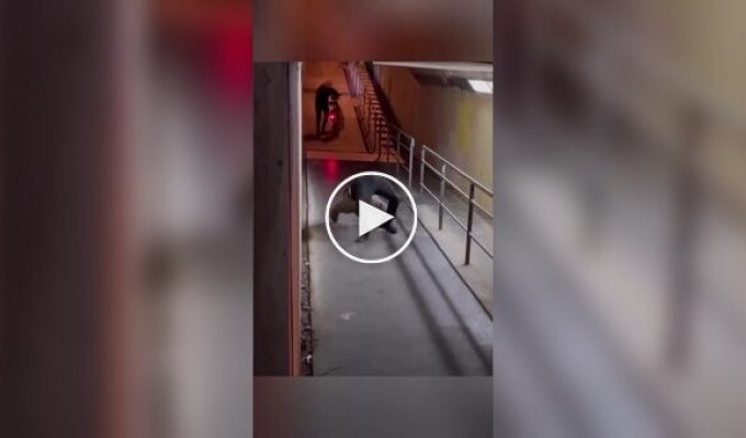 Пранкер, который может испугать кого угодно