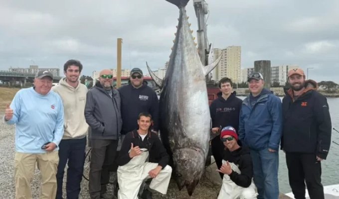 Рибалка похвалився рекордним уловом вагою майже 380 кг (3 фото)