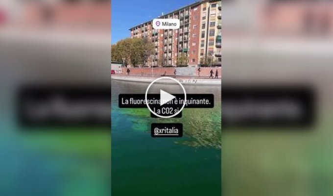 Environmental activists turned the waters of the Grand Canal in Venice acid green