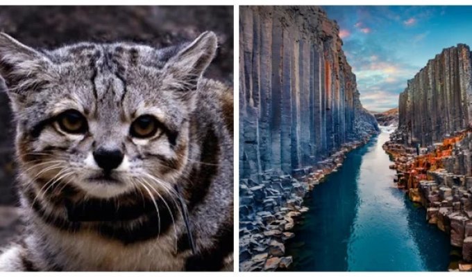 20 natural curiosities that will take your breath away (21 photos)