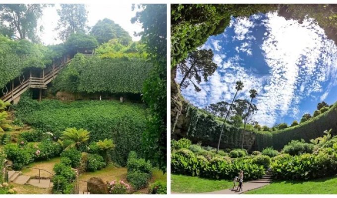 Australian Abyss Transformed into the Garden of Eden, Umpherston (28 photos + 2 videos)