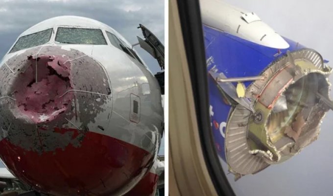 Photos taken after planes land: better not to see this (15 photos)