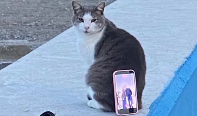 Лучший живой штатив для смартфона (3 фото)