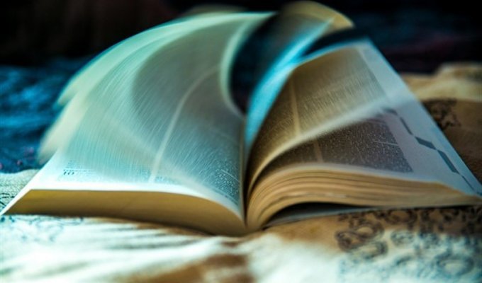 Читати чи не читати? (18 фото)