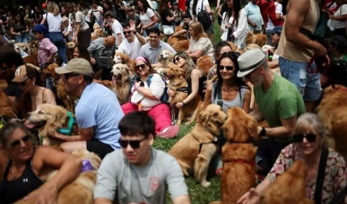 The Cutest World Record in Buenos Aires (8 photos)
