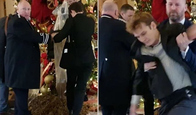 Протестующие удобрили навозом ёлку в отеле Ritz (5 фото + 1 видео)