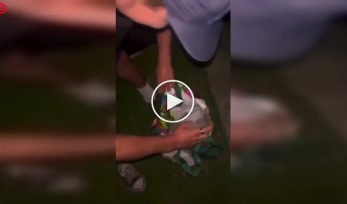 Цвіркуни в салоні: дуже погана ідея