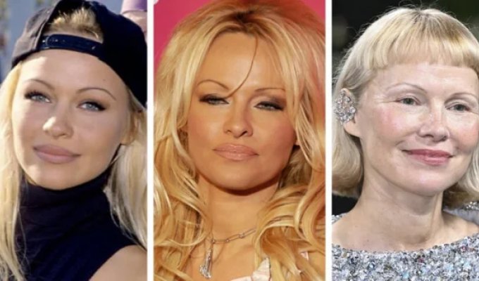 Famous Hollywood actresses through the years (17 photos)