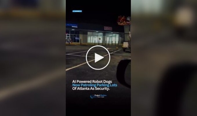 Robodogs have begun patrolling parking lots in the US