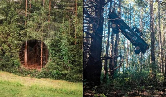 16 фотографий того, что можно обнаружить абсолютно случайно в ближайшем лесу (17 фото)