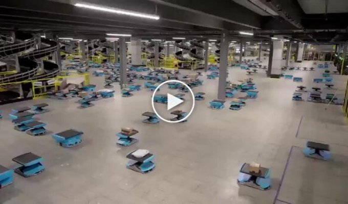 What a workday in an Amazon warehouse looks like