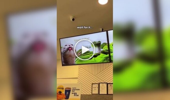 В малазийской кофейне нашли гениальный способ привлечь внимание к меню