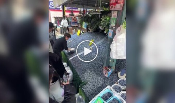 В Китае килограмм голубики продают всего за 6 долларов