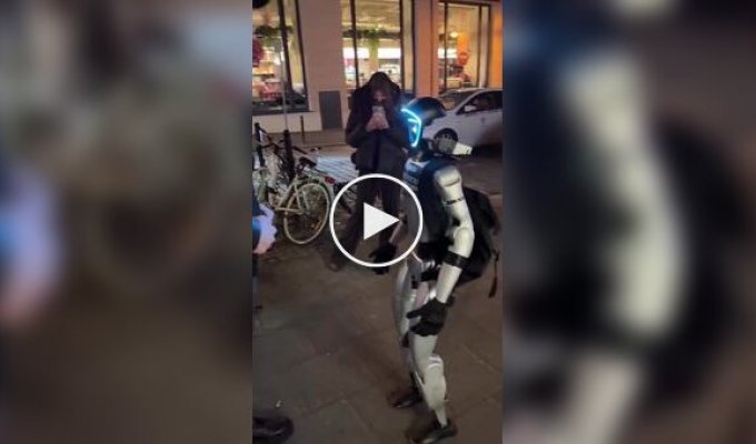 A Conversation with a Daring Robot in Poland