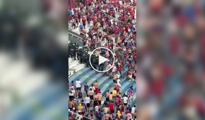 Fight in Paraguay: fans and police officers injured