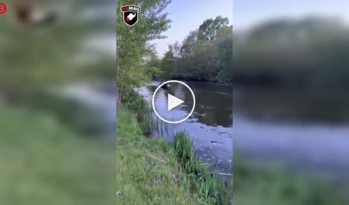 They Wanted to Go for a Ride with the Wind, but Ended Up Taking a Splash