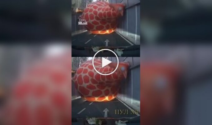 An inflatable giraffe blocked Tunnel in China
