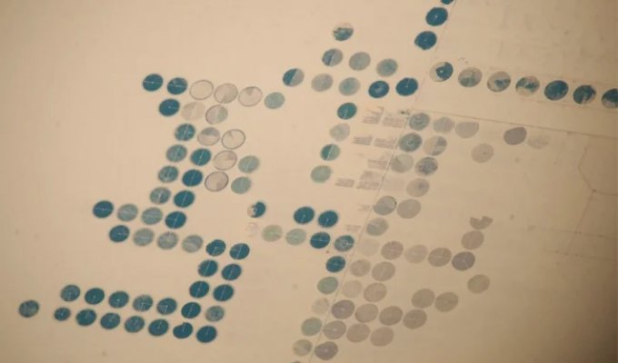 Фотографии Земли с МКС (36 фото)