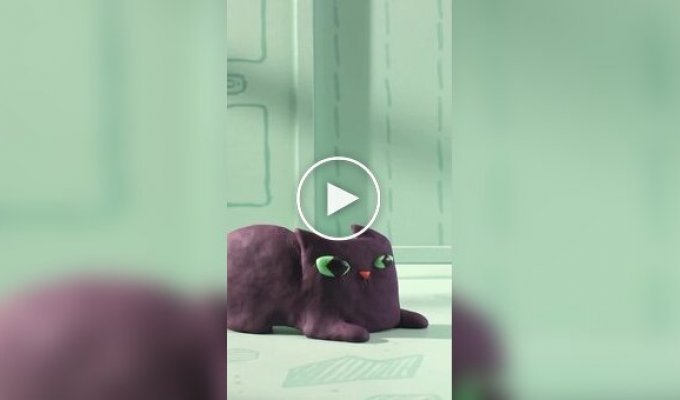 Обычный кошачий день за 25 секунд