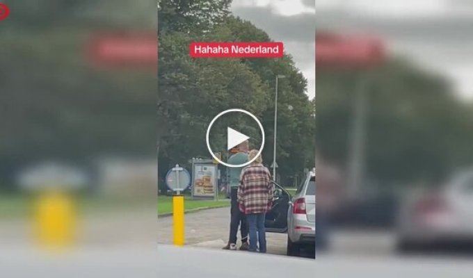 Saintly patience on the road: a Dutch driver remains calm despite the spitting of an aggressor