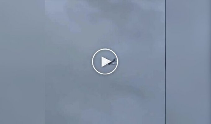 Самолет в США экстренно приземлился из-за попавшего в двигатель кролика