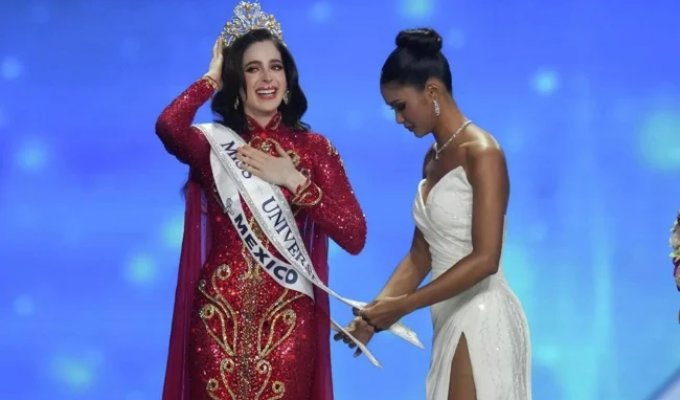 Miss Universe Beauty Pageant Winner: Mexican Woman Previously Called "Dumbass" (7 Photos + 2 Videos)