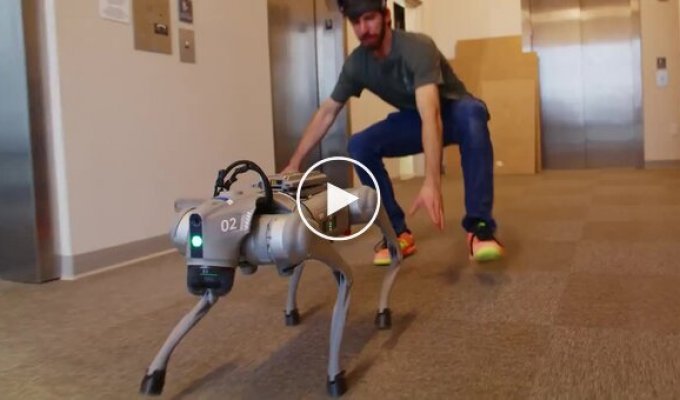 A Tough Robot Test