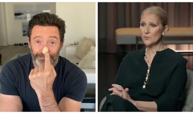 6 stars who weren't broken by a serious illness (13 photos)