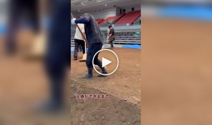 Как строят площадки для японской борьбы сумо