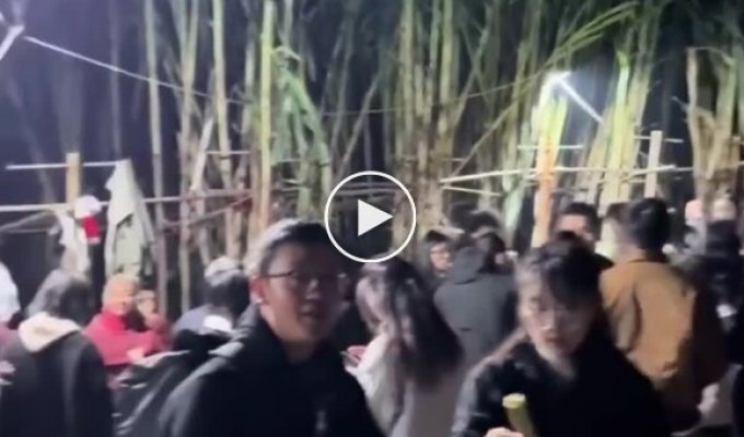 Steal the cane if you can: a farmer transformed his field Into the game