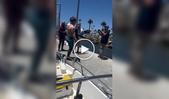 Умеющий ждать получает лучшее