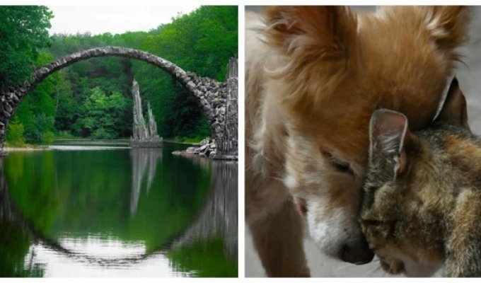 20 reasons to smile and admire, given by nature (21 photos)