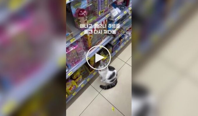 A cunning cat asks customers to buy her favorite treat