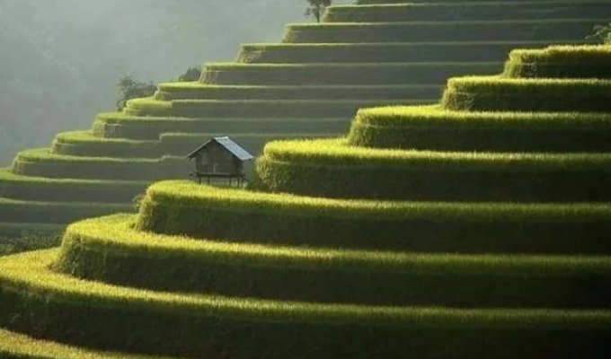 Прикольные картинки. Выпуск 3991 (28 фото)