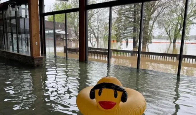 Владелец специально затопил свой ресторан (2 фото + 1 видео)