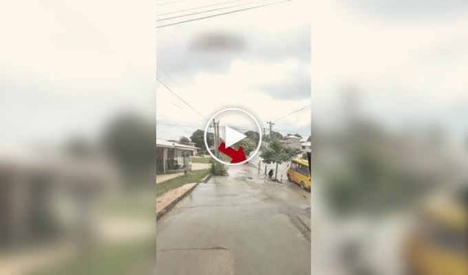 Seconds saved a life: father and son almost ended up in the path of a car