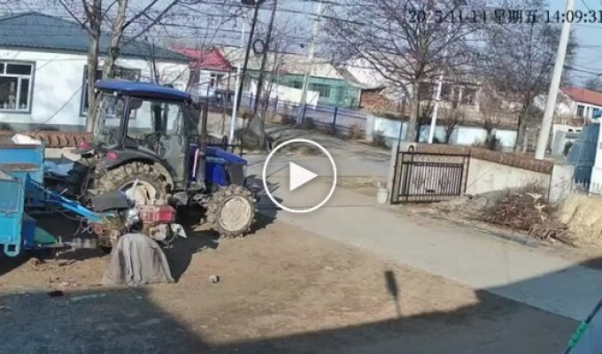 A wild boar crashed into a scooter