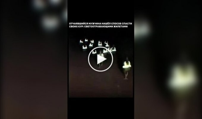 Ципочки в жилетах викликали переполох в Іспанії