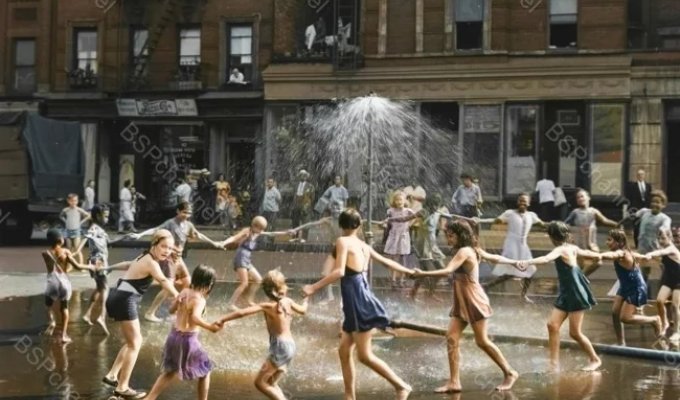 A selection of interesting and unusual photos from the USA (21 photos)