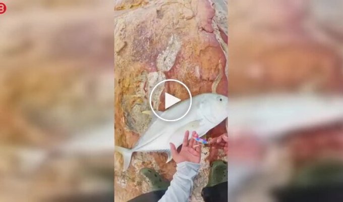 A fisherman wanted to release his catch, but everything didn't go according to plan