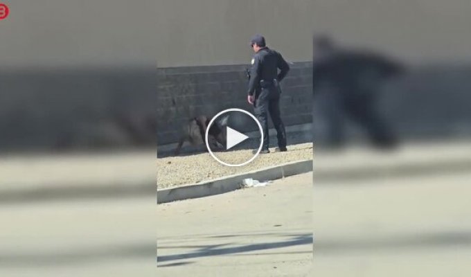 A policeman met a girl in an inadequate state on the side of the road