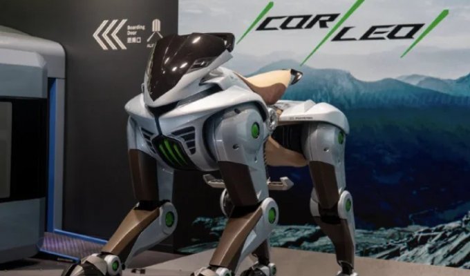 Кібер кінь (2 фото + відео)