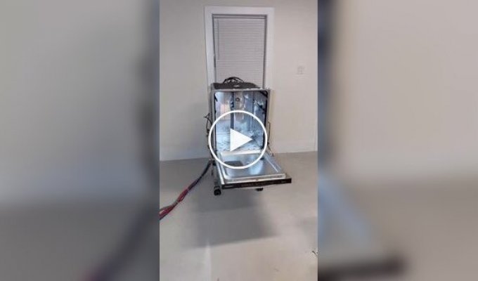 Посудомоечная машина с характером