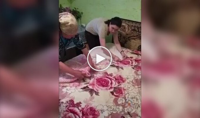 Попытка сложить полотенце по инструкции привела к неожиданной форме