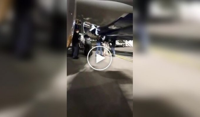 Мужчина спрятался в отсеке шасси самолета