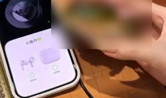 The best headphone case was found on marketplaces (5 photos + video)