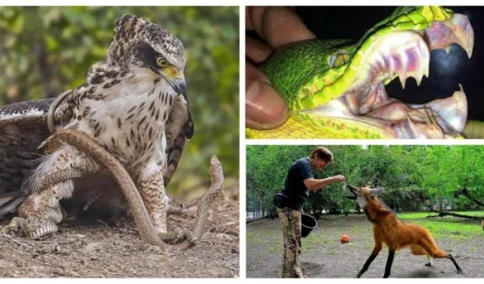 30 Scary Wonders of the Natural World (31 photos)